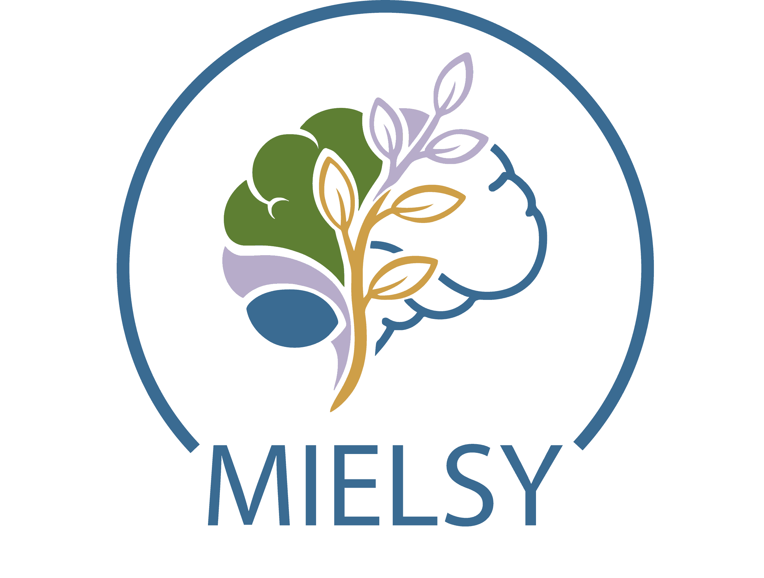 Mielsy